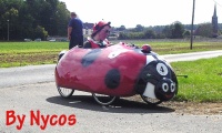 Click to enlarge Coccinella 006.jpg